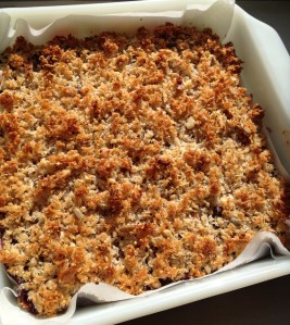 cow crumbs, gluten free, dairy free, dessert, raspberry, coconut, almond, bars