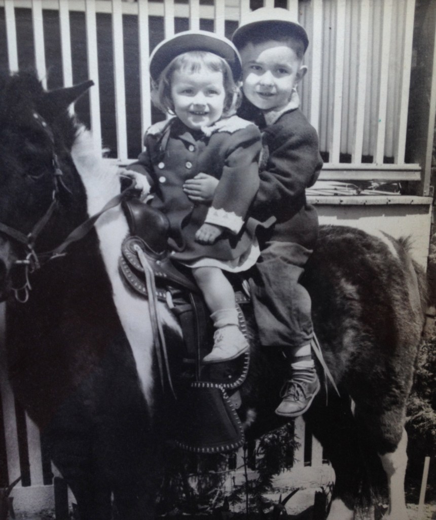 cow crumbs, gluten free, dairy free, trifle, summer berries, dessert, lemon pound cake