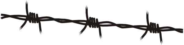 cow crumbs, gluten free, dairy free, zucchini bread, sweet bread, zucchini, dessert, breakfast bread