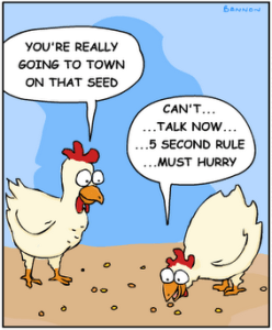 cow crumbs, cookies, kitchen sink cookies, gluten free, dairy free, allergen free, vegan, trail mix cookie, healthy cookie