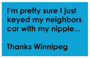 cow crumbs, gluten free, dairy free, vegan, muffins, zucchini muffins, gluten free breakfast, gluten free baking, food porn, zucchini pecan muffins