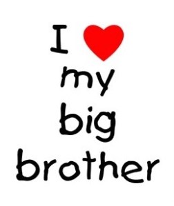 cow crumbs, gluten free, dairy free, paleo, egg salad, avocado, hard boiled egg