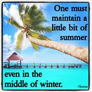 ea550ef3d0bd4b8e514fd4bdf3b83393